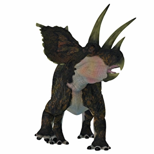 Ceratopsian Dinosaurs Drucke: Bravoceratops dinosaur, front view