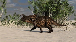 Cretaceous Era Animals Drucke: Brown Einiosaurus in a desert environment
