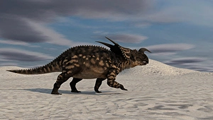 Cretaceous Era Animals Drucke: Brown Einiosaurus walking across a desert landscape
