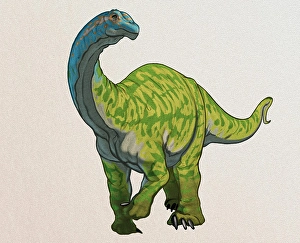 Prehistoric Wildlife Art Drucke: Camarasaurus dinosaur