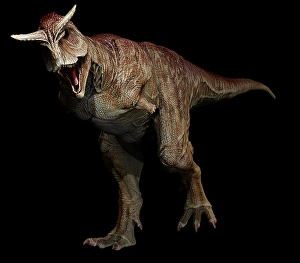 Carnivorous Theropod Dinosaurs Drucke: Carnotaurus dinosaur on black background
