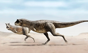 Paleozoology Images Drucke: Two Carnotaurus run for the steppe