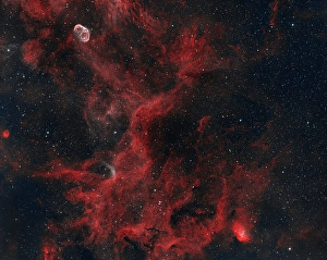 Cygnus Constellation Drucke: Central part of the Cygnus constellation