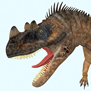 Prehistoric Creature Drucke: Ceratosaurus dinosaur head
