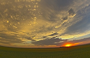 Sunset Over Farmland Drucke: Cloudscape at sunset, Alberta, Canada