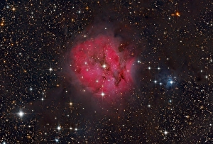 Emission Nebula Images Drucke: Cocoon Nebula