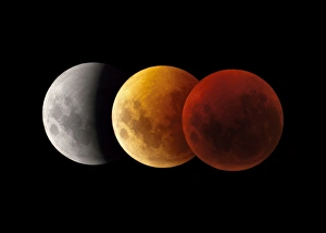 Lunar Eclipse Photography Drucke: Composite image of lunar eclipse, Victoria, Australia