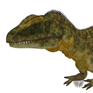 Mesozoic Era Wildlife Art Drucke: Concavenator dinosaur head