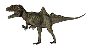 Mesozoic Era Dinosaurs Drucke: Concavenator dinosaur roaring