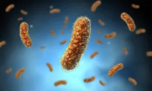 Gram Positive Bacteria Drucke: Conceptual image of the Bacillus bacteria