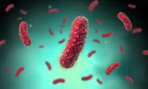 Gram Positive Bacteria Drucke: Conceptual image of the Bacillus bacteria