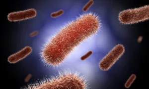 Gram Positive Bacteria Drucke: Conceptual image of the Bacillus bacteria