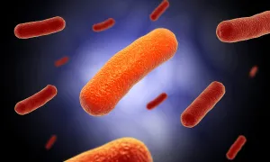 Gram Positive Bacteria Drucke: Conceptual image of the Bacillus bacteria