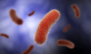 Gram Positive Bacteria Drucke: Conceptual image of the Bacillus bacteria