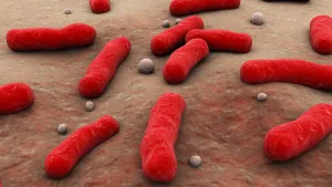 Gram Positive Bacteria Drucke: Conceptual image of the Bacillus bacteria