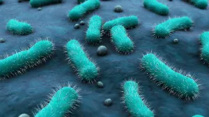 Gram Positive Bacteria Drucke: Conceptual image of the Bacillus bacteria