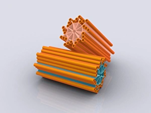 Biomedical Illustrations Drucke: Conceptual image of centrioles