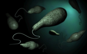 Konzeptuelle Darstellung von Euglena