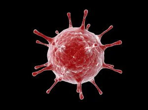 Cell Biology Images Drucke: Conceptual image of a virus