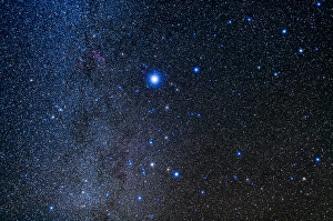 Canis Major Constellation Drucke: The constellation of Canis Major