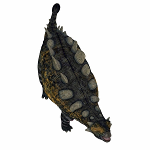 Cretaceous Period Wildlife Drucke: Crichtonsaurus armored dinosaur, overhead view