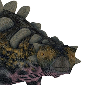 Cretaceous Period Creatures Drucke: Crichtonsaurus dinosaur head