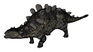 Cretaceous Period Creatures Drucke: Crichtonsaurus dinosaur standing