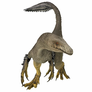 North American Dinosaurs Drucke: Dakotaraptor dinosaur, front view