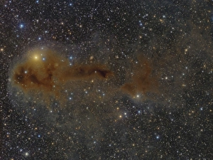 Ein dunkler Nebel im Sternbild Cepheus