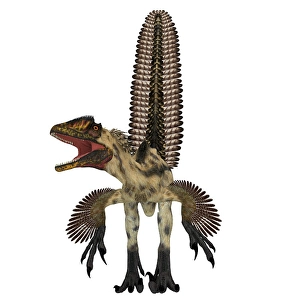 Theropod Dinosaurs Drucke: Deinonychus dinosaur, front view