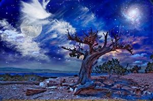 National Park Scenic Views Drucke: Desert Landscape