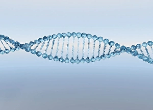 Double Helix Model Drucke: Digital image of DNA helix