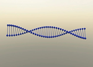 DNA Double Helix Drucke: Digital image of DNA strand