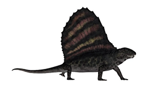 Fierce Prehistoric Creatures Drucke: Dimetrodon dinosaur - 3D render