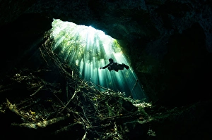 Sunlight Underwater Drucke: A diver explores a cavern illuminated by sunlight