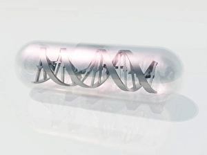 Double Helix Structure Drucke: DNA Capsule