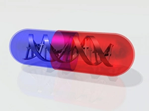 DNA Structure Drucke: DNA Capsule