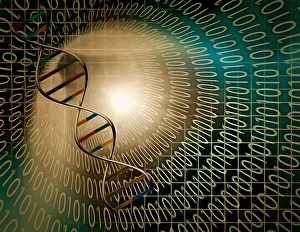 DNA Double Helix Structure Drucke: DNA chain inside tunnel of binary code