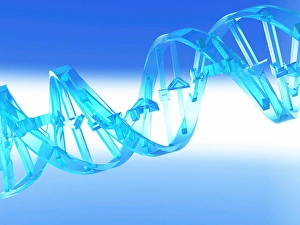 DNA Double Helix Structure Drucke: DNA Strand 3D rendered
