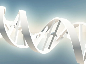 Double Helix Structure Drucke: DNA Strand. 3D rendering