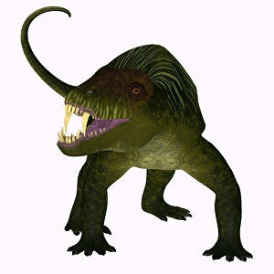 Mesozoic Era Dinosaurs Drucke: Doliosauriscus dinosaur, front view