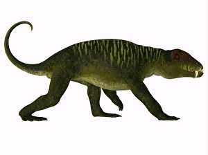 Mesozoic Era Dinosaurs Drucke: Doliosauriscus dinosaur, side view