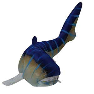 Prehistoric Sea Life Drucke: Dunkleosteus fish, front view