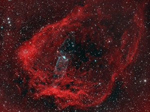 Emission Nebula Pictures Drucke: The Flying Bat & Squid Nebula