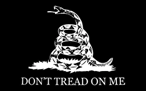 Historical American Revolution Images Drucke: The Gadsden flag