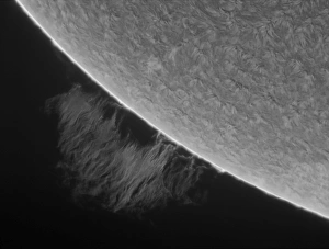 Black And White Space Photos Drucke: H-alpha-Sun Promimence
