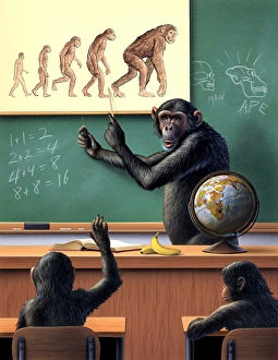 Ein humorvoller Blick auf die umgekehrte Evolution des Menschen