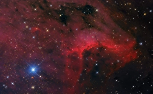 Emission Nebula Pictures Drucke: IC 5070, the Pelican Nebula
