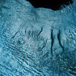 Ice Covered Landscapes Drucke: Ice from Space