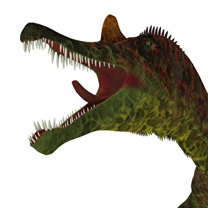 Theropod Predator Drucke: Ichthyovenator dinosaur head